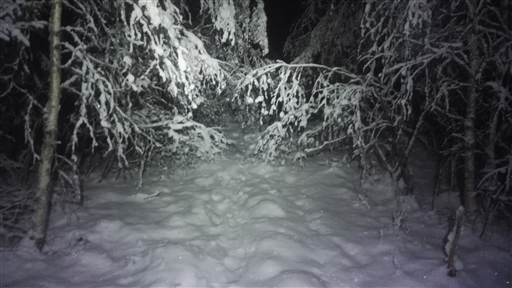 Bild uppladdad av Henrik Ortman