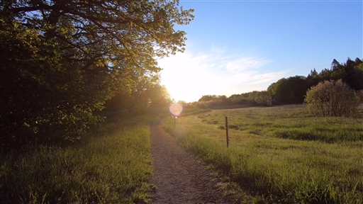 Bild uppladdad av Daniel Pichler