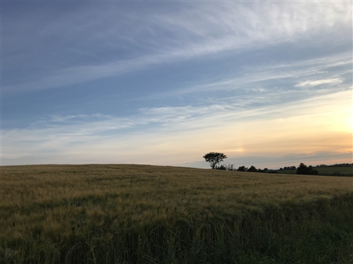 Bild uppladdad av Thomas Segerbrant