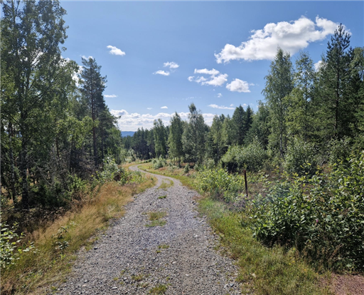 Bild uppladdad av Leif Andersson