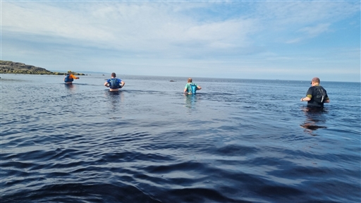 Bild uppladdad av Mathias Johansson