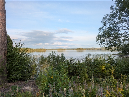 Bild uppladdad av Torbjörn Westman