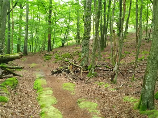 Bild uppladdad av Nicklas Nordborg