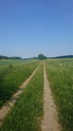 Bild uppladdad av Åsa 