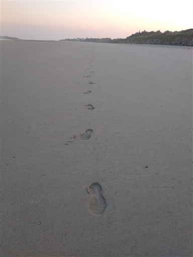 Bild uppladdad av Jesper