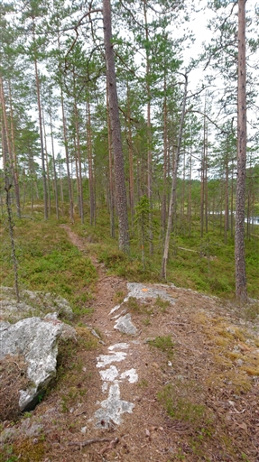 Bild uppladdad av Åsa 