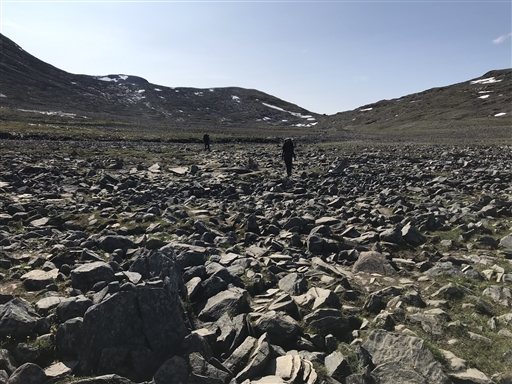 Bild uppladdad av Hobbylöparn