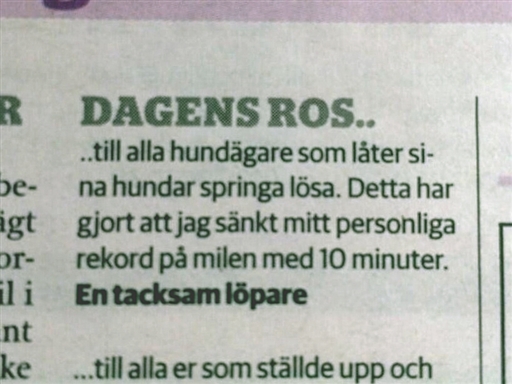 Bild uppladdad av Birgitta Thörnqvist