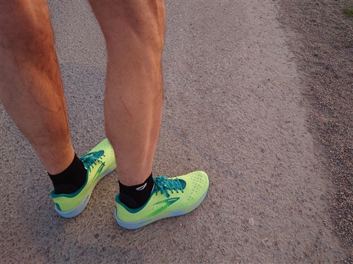 Bild uppladdad av Johan Modig