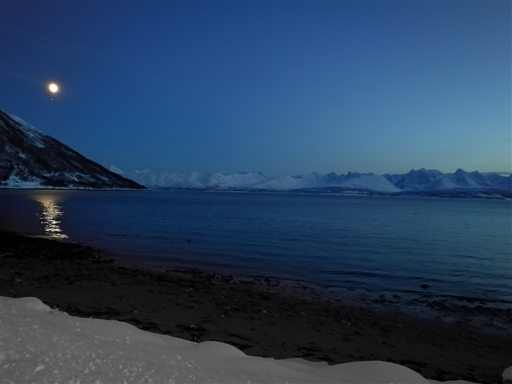 Bild uppladdad av niffhatt