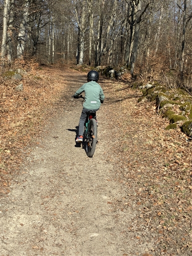 Bild uppladdad av Maria Petersson