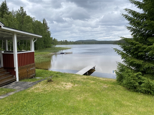 Bild uppladdad av Kicki Dahlberg 