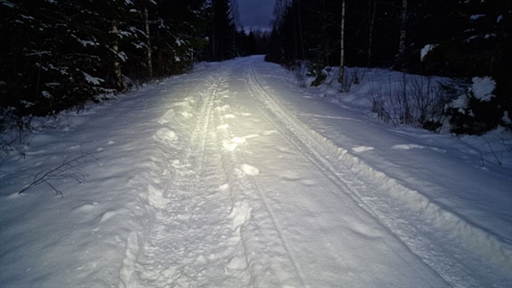 Bild uppladdad av Annica Kaufeldt