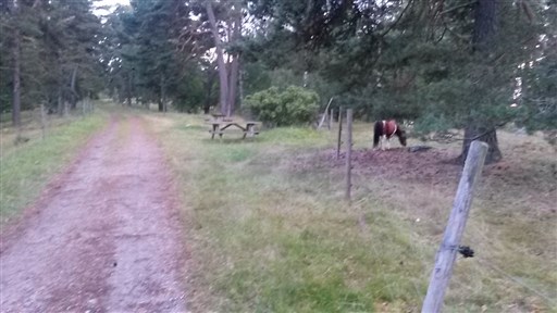 Bild uppladdad av Henrik Ortman