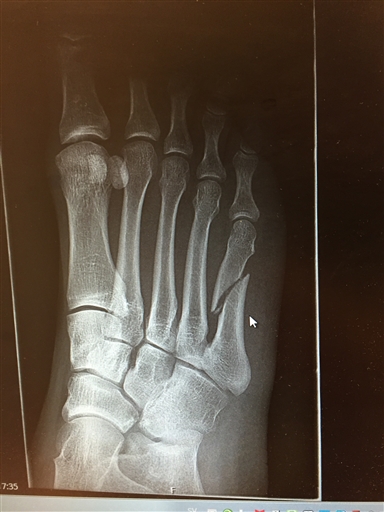 Bild uppladdad av Mike Lourey