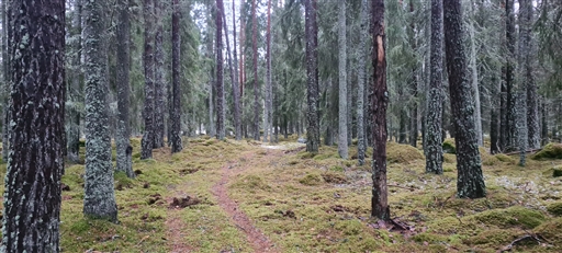 Bild uppladdad av Henrik Ortman