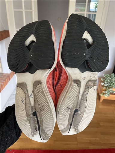 Bild uppladdad av Hobbylöparn