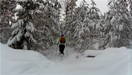 Bild uppladdad av NB