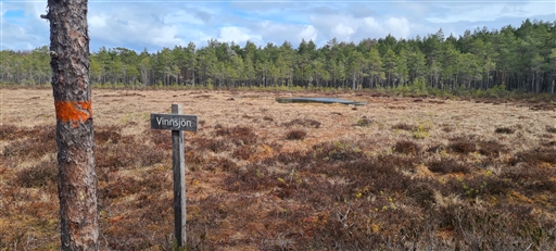 Bild uppladdad av Henrik Ortman