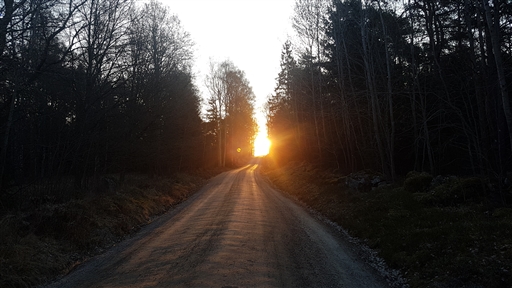 Bild uppladdad av Thomas Abrahamsson 