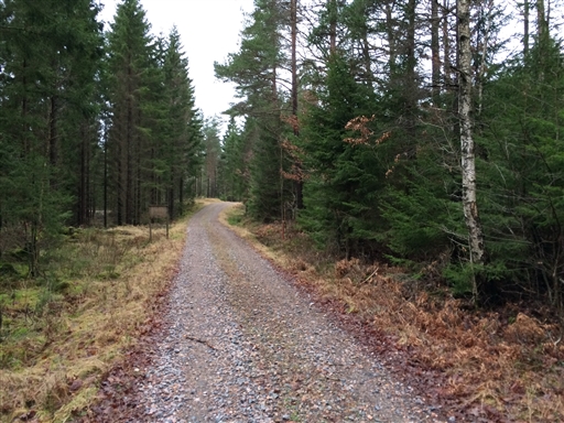 Bild uppladdad av Niklas Karlsson