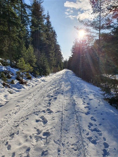 Bild uppladdad av Monica Carlsson