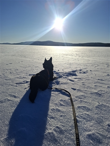 Bild uppladdad av Hans Persson