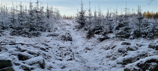 Bild uppladdad av Nicklas Nordborg