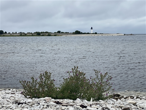 Bild uppladdad av Agneta Österman Lindquist