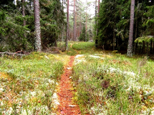 Bild uppladdad av Åsa 