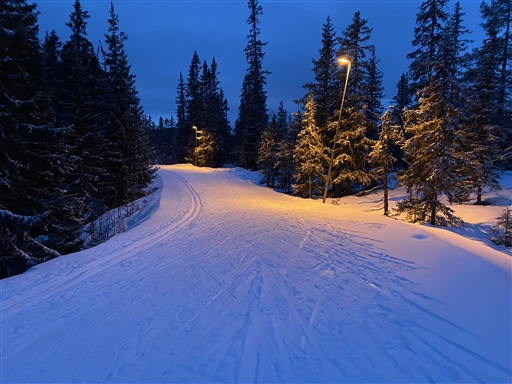 Bild uppladdad av Kicki Dahlberg 