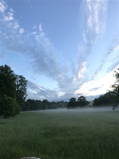 Bild uppladdad av Thomas Segerbrant