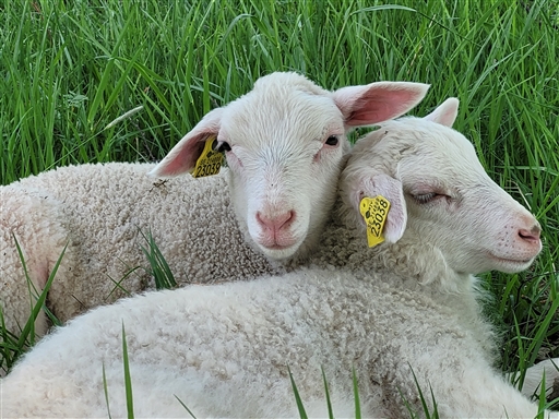 Bild uppladdad av Berit Engst