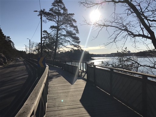 Bild uppladdad av Hobbylöparn