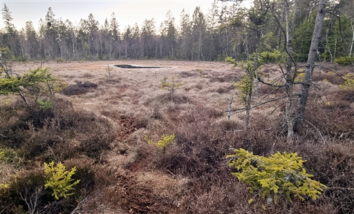 Bild uppladdad av Nicklas Nordborg