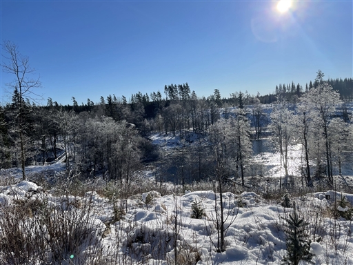 Bild uppladdad av Anonymiserad