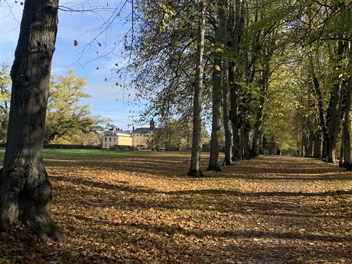 Bild uppladdad av Thomas Segerbrant