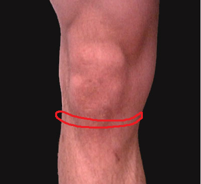 Bild uppladdad av mangeb