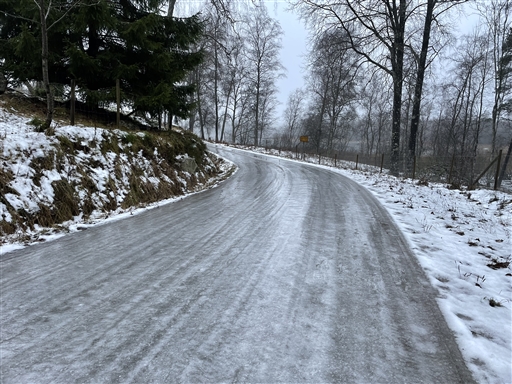 Bild uppladdad av Anonymiserad