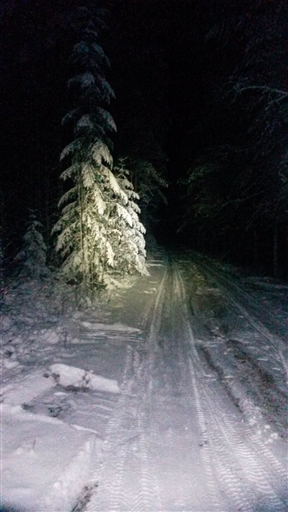 Bild uppladdad av Annie F