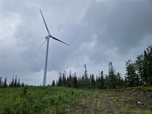 Bild uppladdad av Anna