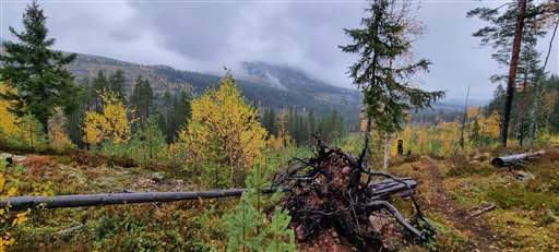 Bild uppladdad av Nicklas Nordborg