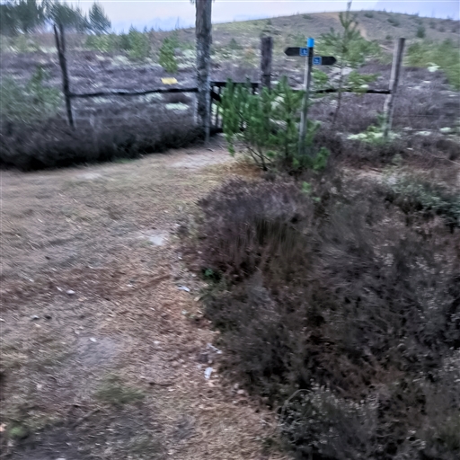 Bild uppladdad av Patrik