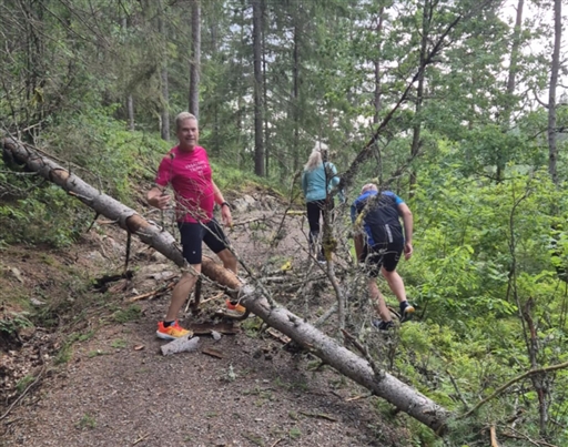 Bild uppladdad av Tommy Carlsson