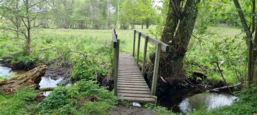 Bild uppladdad av Nicklas Nordborg