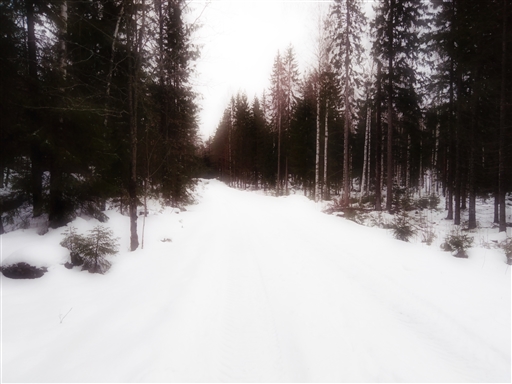 Bild uppladdad av Åsa 