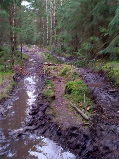 Bild uppladdad av Nicklas Nordborg