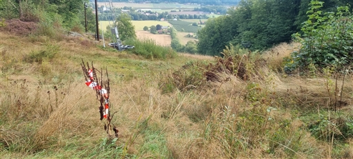 Bild uppladdad av Nicklas Nordborg