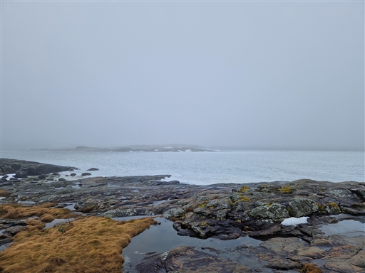 Bild uppladdad av Anna