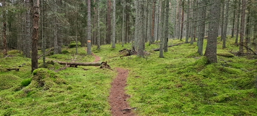 Bild uppladdad av Henrik Ortman